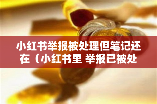 小红书举报被处理但笔记还在（小红书里 举报已被处理是什么）