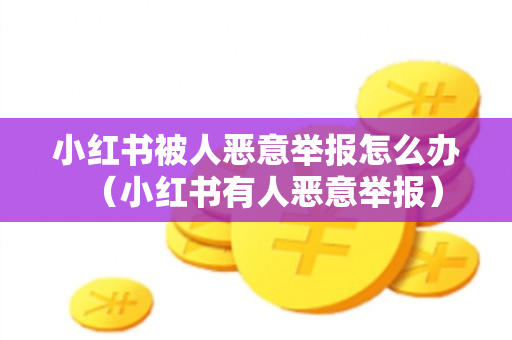 小红书被人恶意举报怎么办（小红书有人恶意举报）