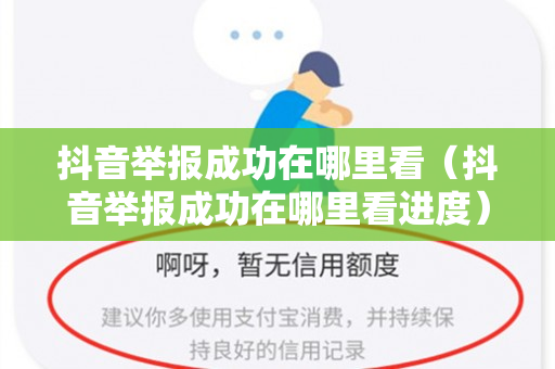 抖音举报成功在哪里看（抖音举报成功在哪里看进度）