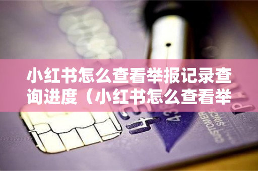 小红书怎么查看举报记录查询进度（小红书怎么查看举报结果）