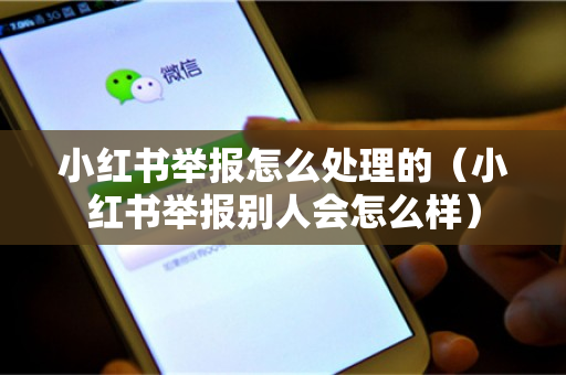 小红书举报怎么处理的（小红书举报别人会怎么样）