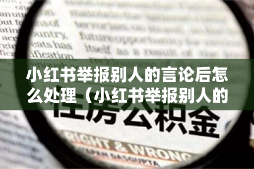 小红书举报别人的言论后怎么处理（小红书举报别人的言论后怎么处理掉）