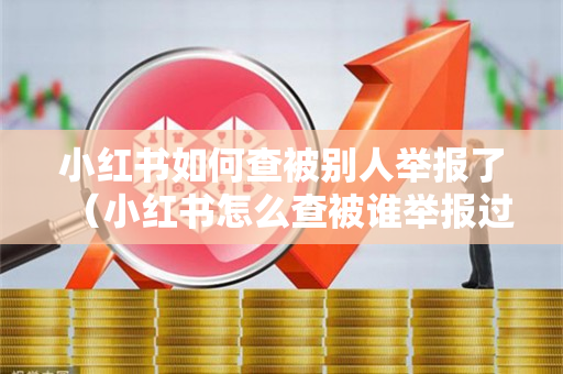 小红书如何查被别人举报了（小红书怎么查被谁举报过）