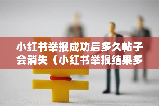小红书举报成功后多久帖子会消失（小红书举报结果多久能出来）