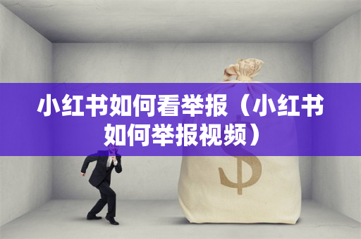 小红书如何看举报（小红书如何举报视频）