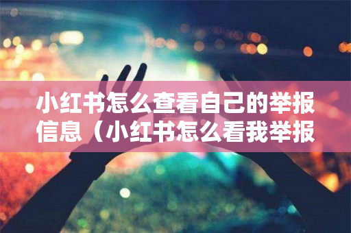 小红书怎么查看自己的举报信息（小红书怎么看我举报的）