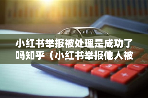 小红书举报被处理是成功了吗知乎（小红书举报他人被处理对方会怎样）