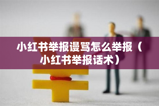小红书举报谩骂怎么举报（小红书举报话术）