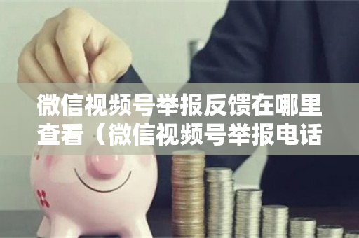 微信视频号举报反馈在哪里查看（微信视频号举报电话）