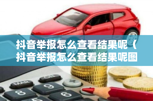 抖音举报怎么查看结果呢（抖音举报怎么查看结果呢图片）