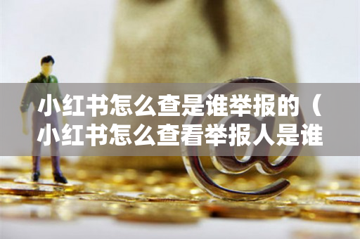 小红书怎么查是谁举报的（小红书怎么查看举报人是谁）