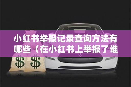 小红书举报记录查询方法有哪些（在小红书上举报了谁自己能看到记录吗?）