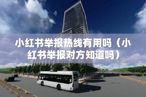小红书举报热线有用吗（小红书举报对方知道吗）