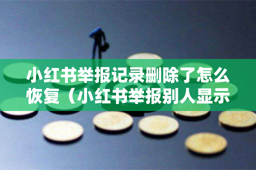 小红书举报记录删除了怎么恢复（小红书举报别人显示用户已删除）
