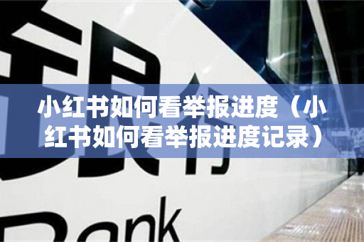小红书如何看举报进度（小红书如何看举报进度记录）
