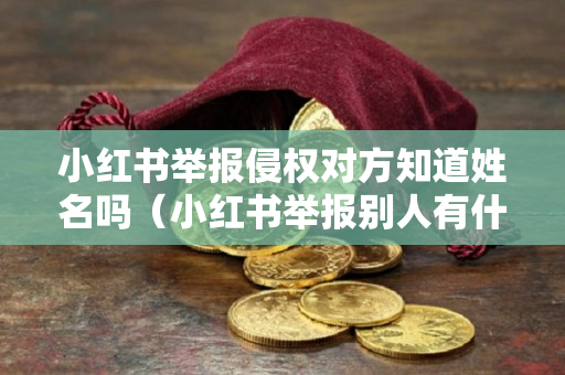 小红书举报侵权对方知道姓名吗（小红书举报别人有什么好处）