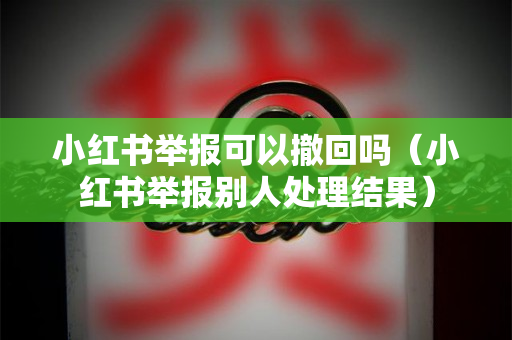 小红书举报可以撤回吗（小红书举报别人处理结果）