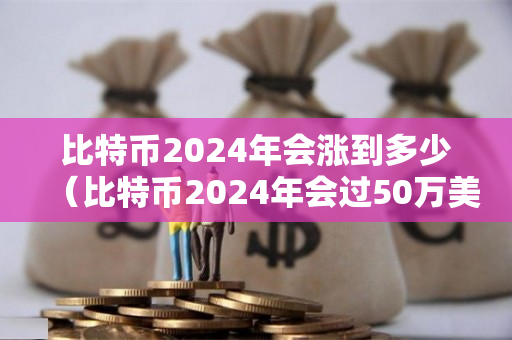 比特币2024年会涨到多少（比特币2024年会过50万美金么）