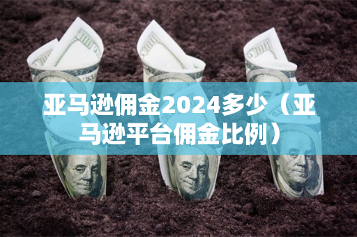 亚马逊佣金2024多少（亚马逊平台佣金比例）