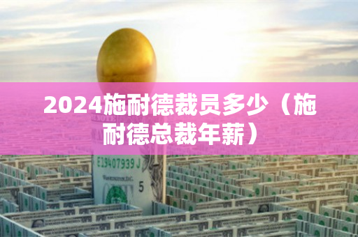 2024施耐德裁员多少（施耐德总裁年薪）