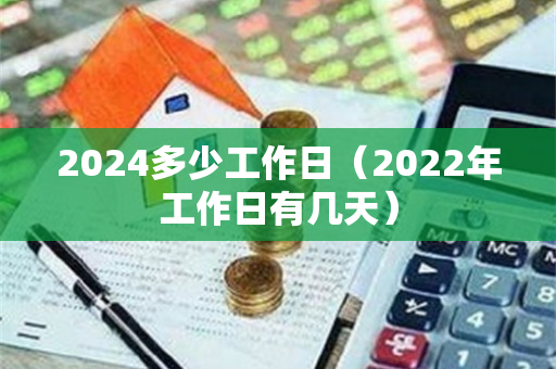 2024多少工作日（2022年工作日有几天）