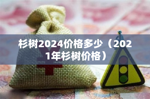 杉树2024价格多少（2021年杉树价格）