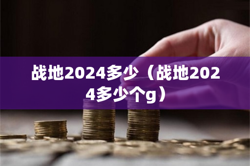 战地2024多少（战地2024多少个g）