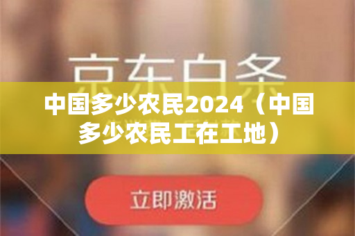 中国多少农民2024（中国多少农民工在工地）