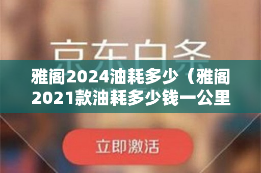 雅阁2024油耗多少（雅阁2021款油耗多少钱一公里）