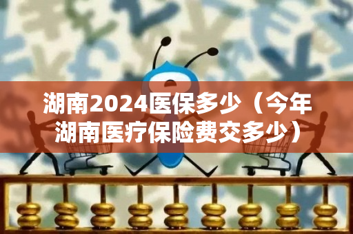 湖南2024医保多少（今年湖南医疗保险费交多少）