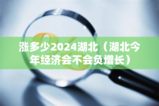 涨多少2024湖北（湖北今年经济会不会负增长）