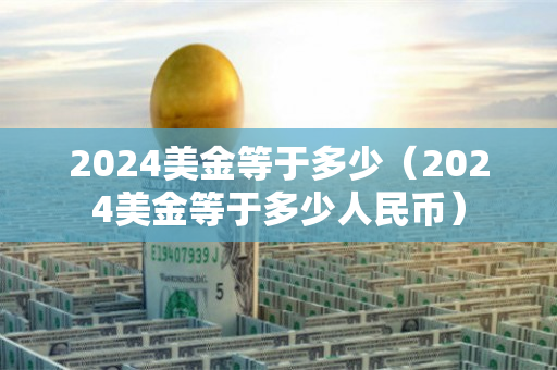 2024美金等于多少（2024美金等于多少人民币）