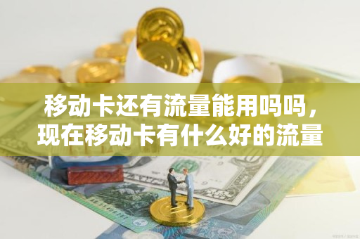 移动卡还有流量能用吗吗，现在移动卡有什么好的流量套餐?（移动号有流量卡吗）